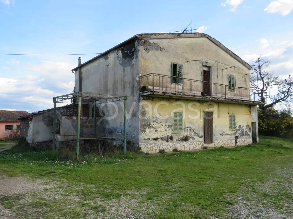 immagine annuncio 6 di 7