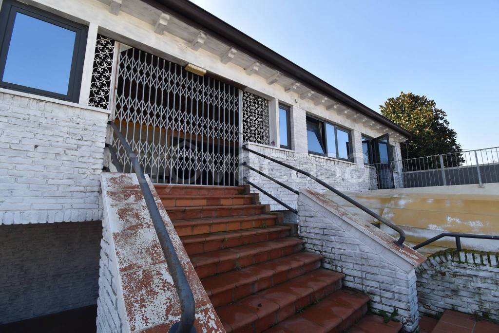 immagine annuncio 7 di 13