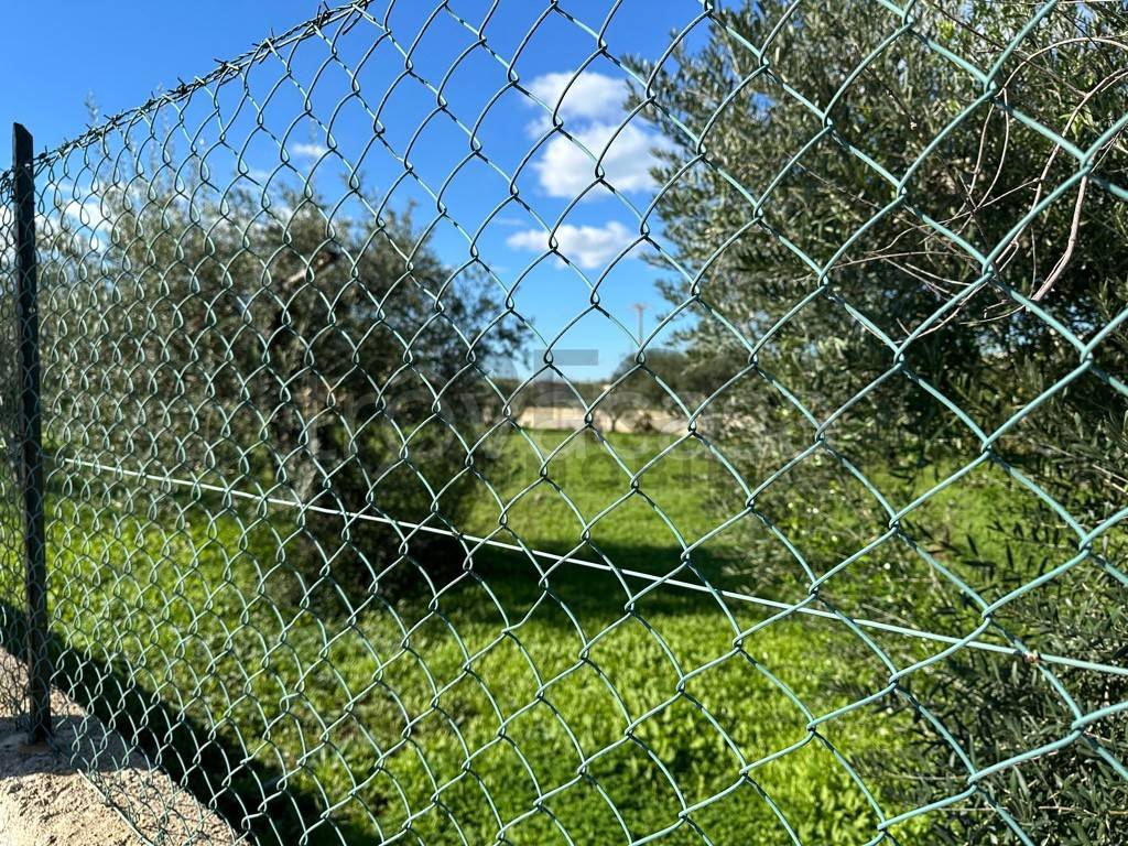 immagine annuncio 5 di 9