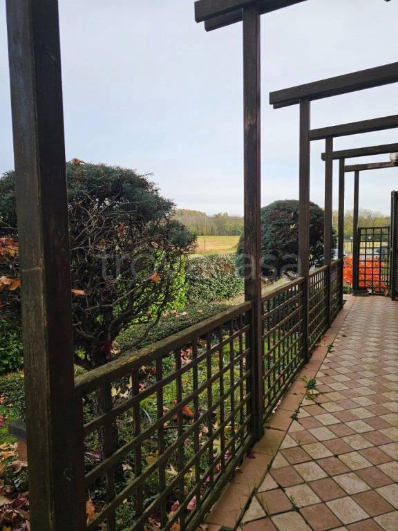 immagine annuncio 12 di 15