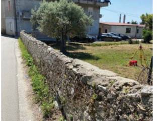 Terreno agricolo all'asta a gioiosa ionica ss682