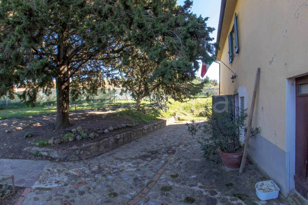 immagine annuncio 7 di 8