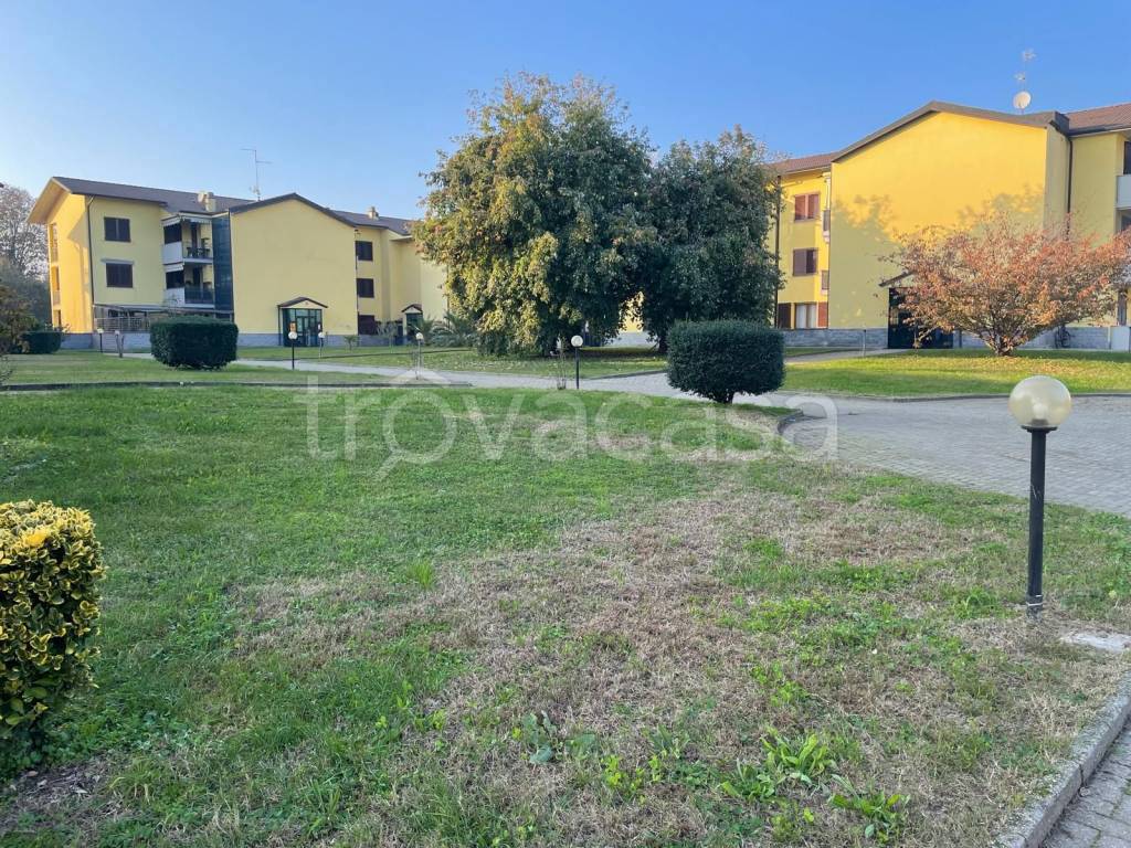 immagine annuncio 5 di 15