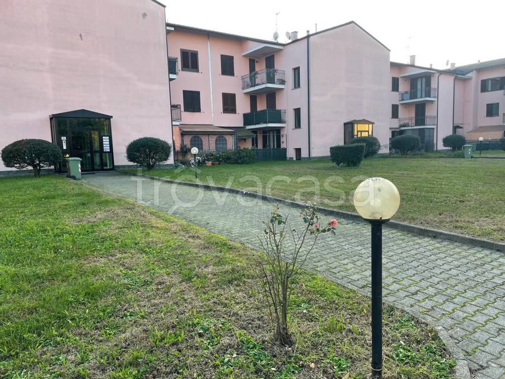 immagine annuncio 8 di 15