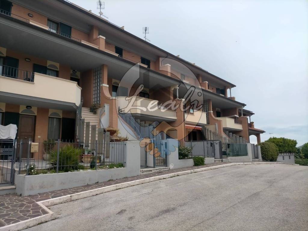 immagine annuncio 3 di 11