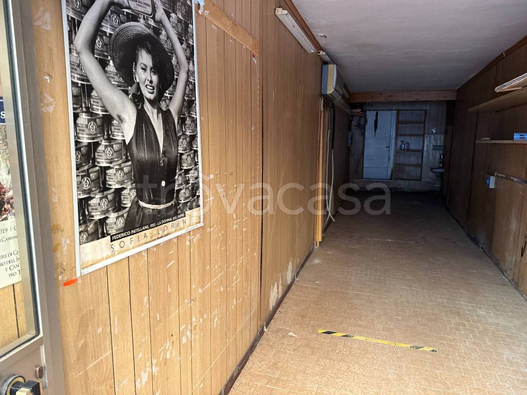 immagine annuncio 3 di 14