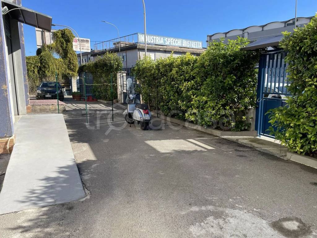 immagine annuncio 8 di 12