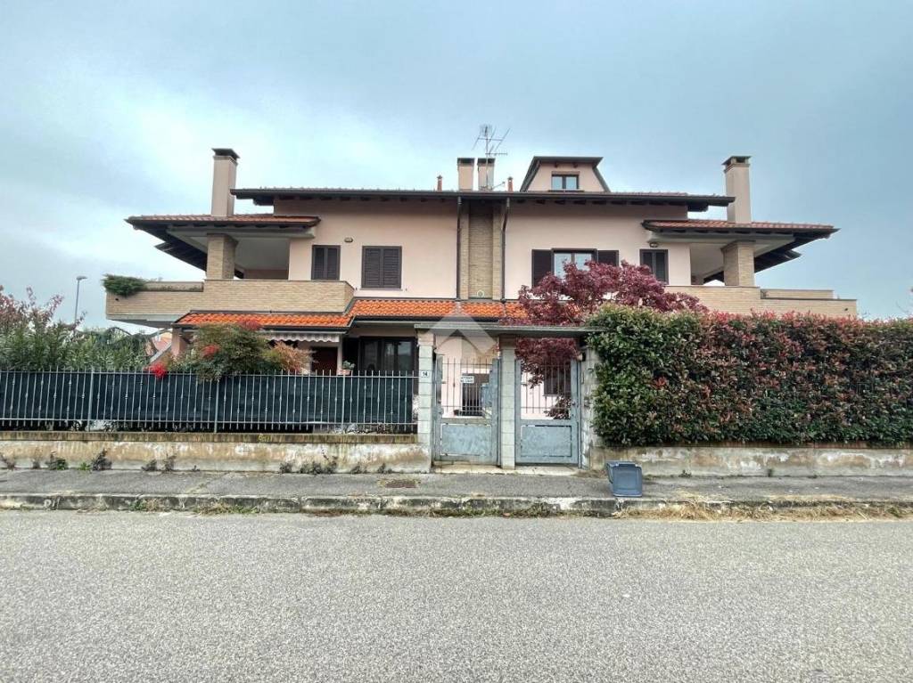 immagine annuncio 1 di 15