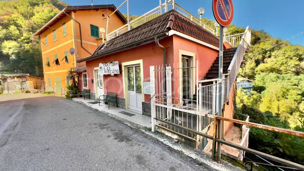 immagine annuncio 11 di 14