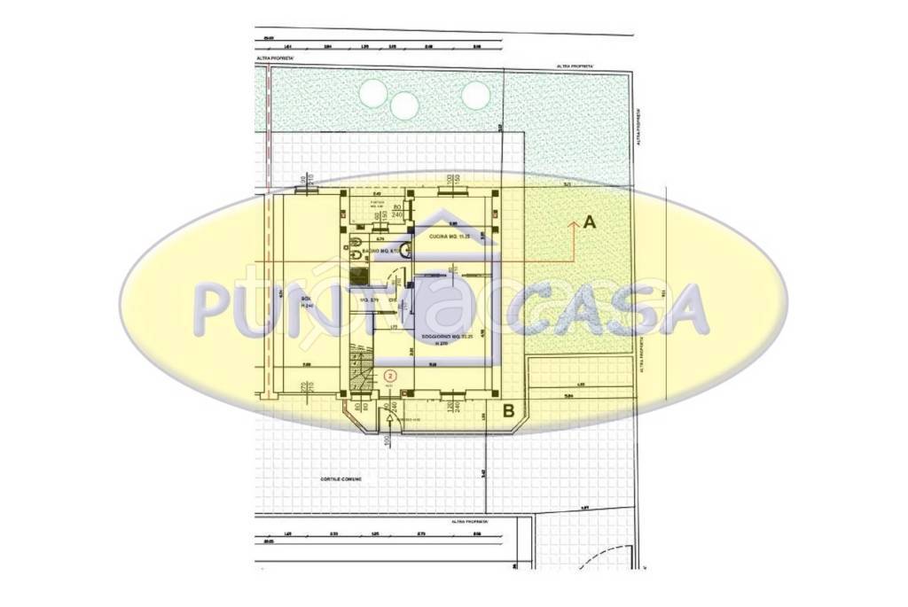 immagine annuncio 11 di 14