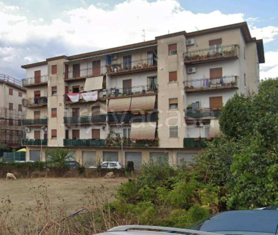 immagine annuncio 12 di 13
