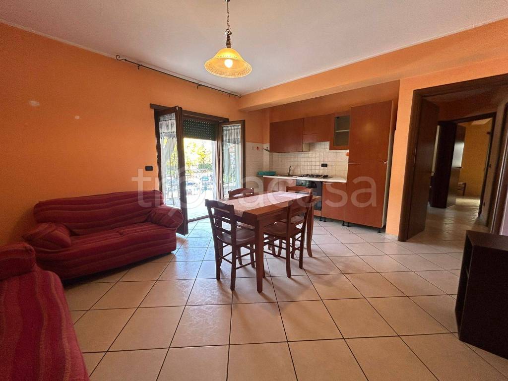 immagine annuncio 1 di 14