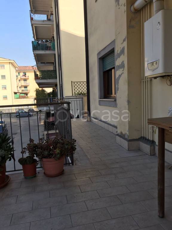 immagine annuncio 11 di 14