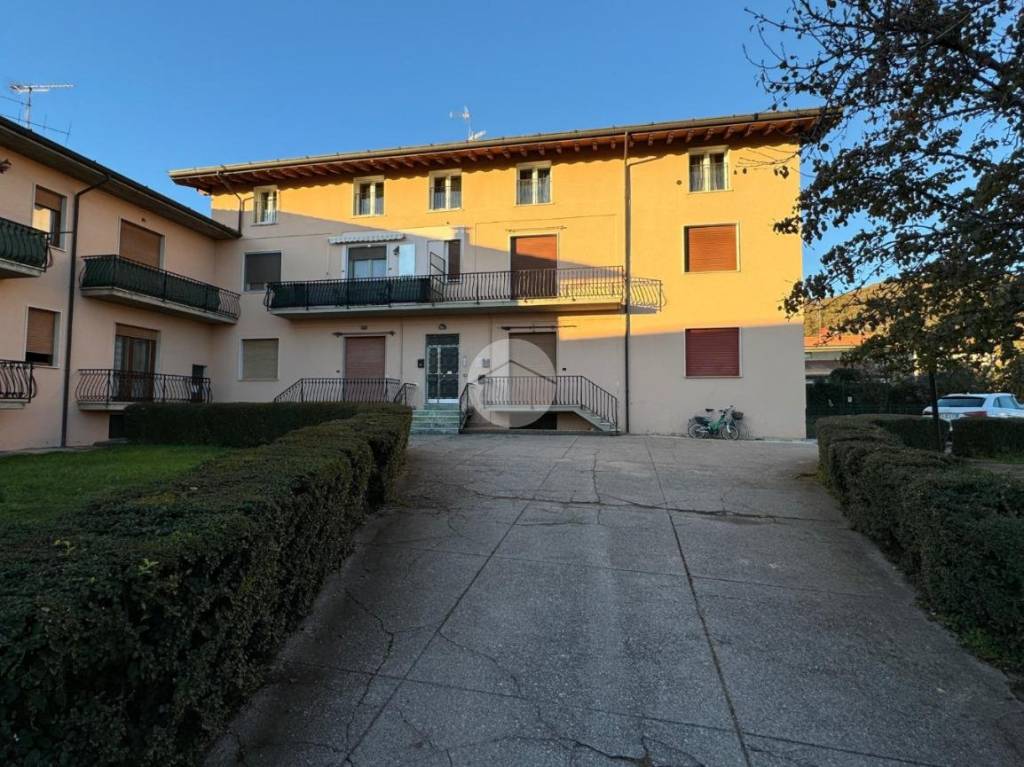 immagine annuncio 1 di 14