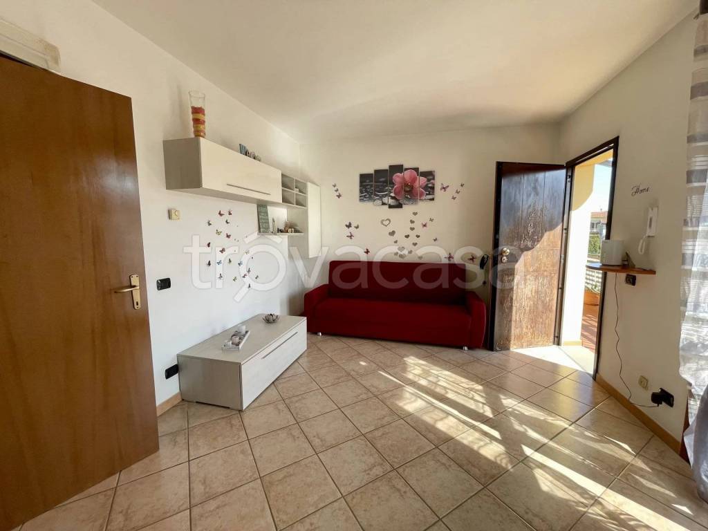 immagine annuncio 9 di 15