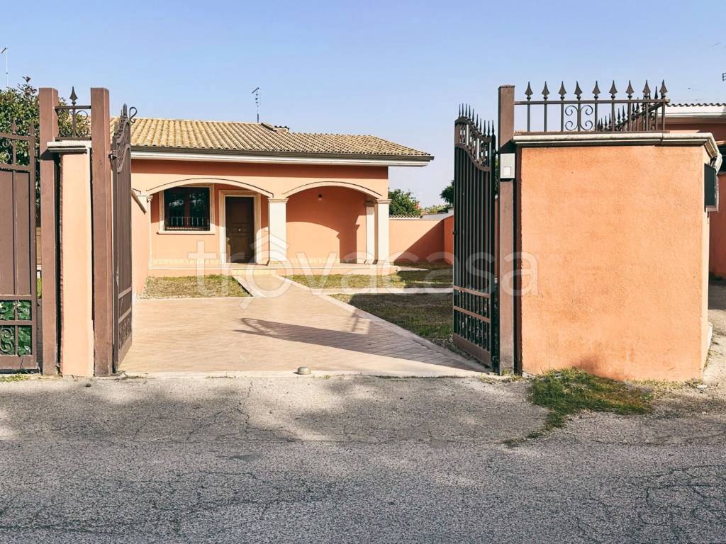 immagine annuncio 6 di 12