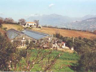 Terreno agricolo all'asta a paupisi via corte