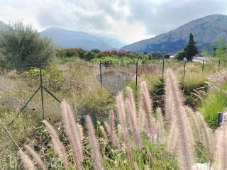 Terreno agricolo in affitto a capaci ss113, snc