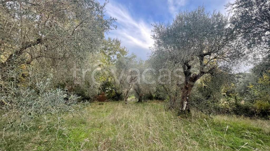 immagine annuncio 4 di 12