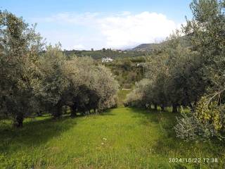 Terreno agricolo in vendita a fara in sabina via farense, 254