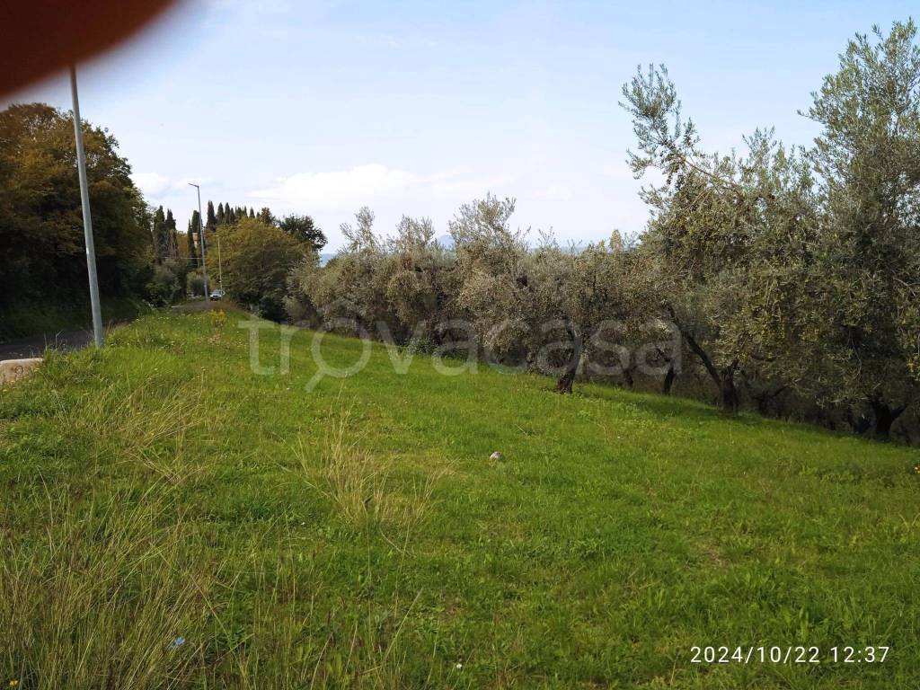 immagine annuncio 6 di 11