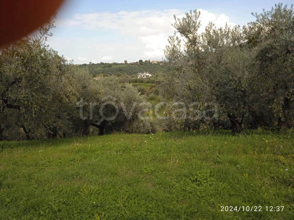 immagine annuncio 8 di 11