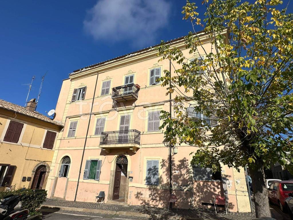 immagine annuncio 7 di 14
