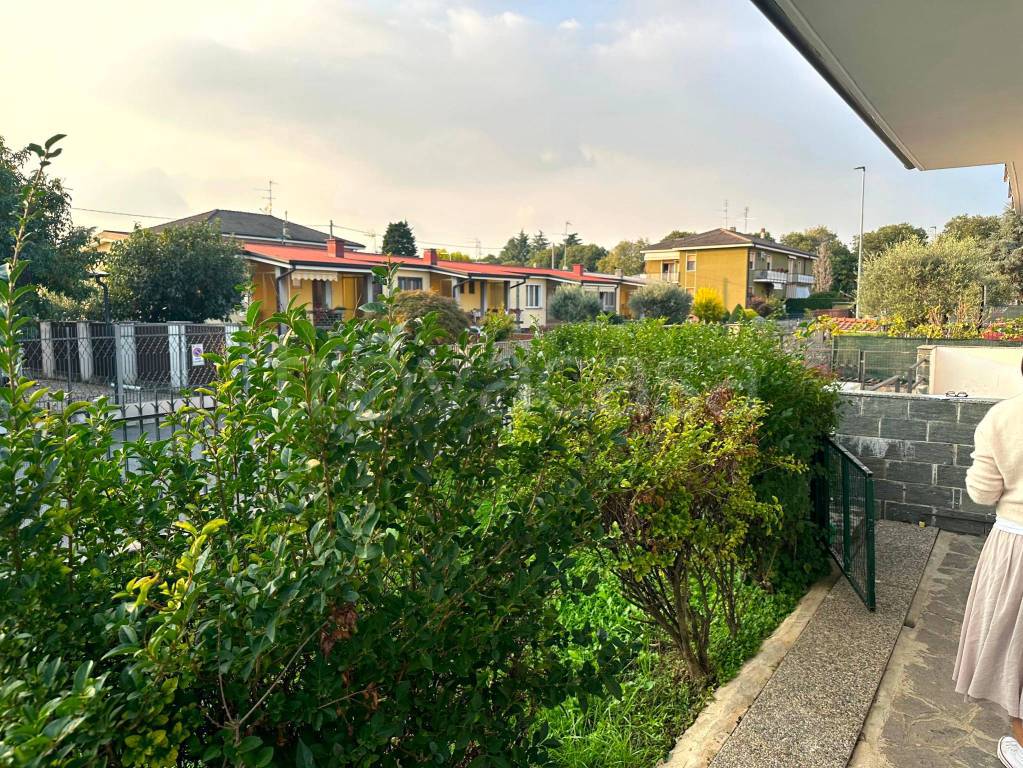 immagine annuncio 9 di 15