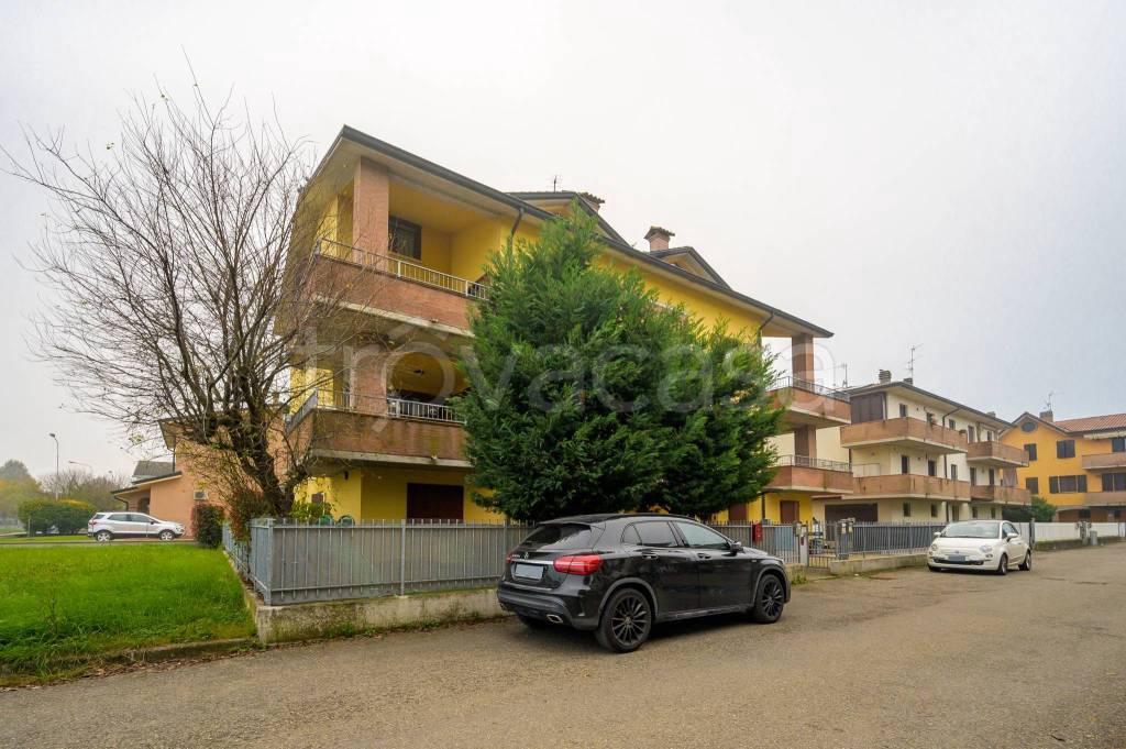 immagine annuncio 3 di 15