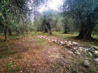 Terreno residenziale in vendita a san bartolomeo al mare 