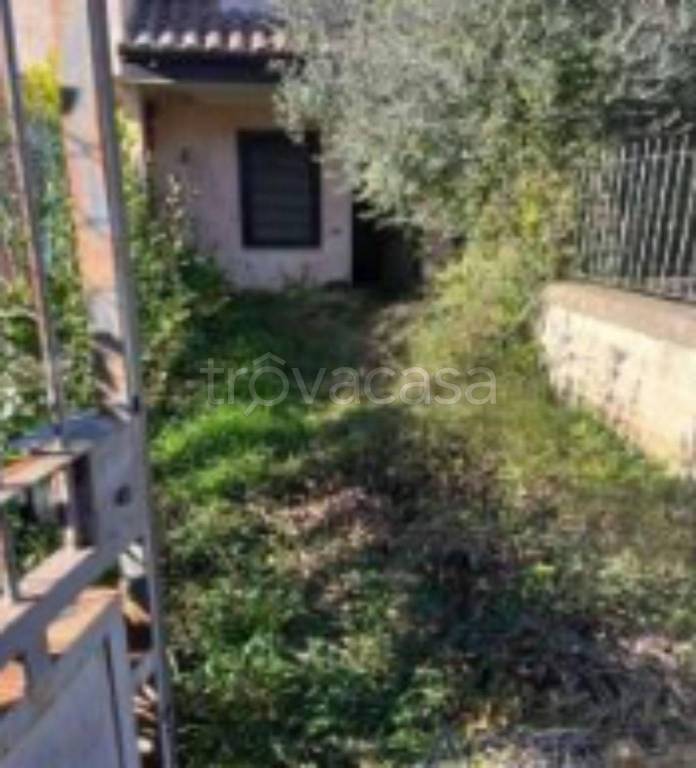 immagine annuncio 2 di 14