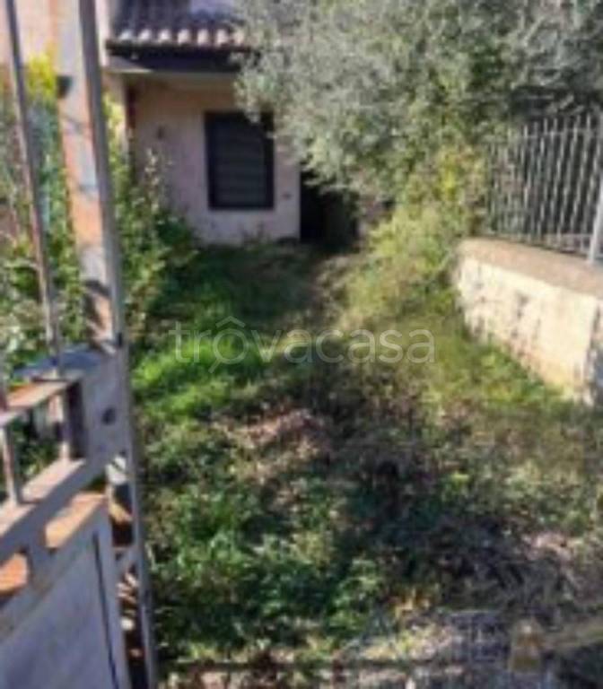immagine annuncio 9 di 14
