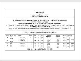 Terreno agricolo in vendita a petacciato strada provinciale litoranea