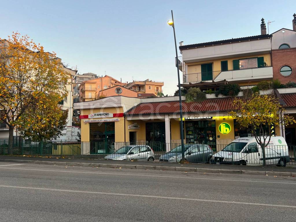 immagine annuncio 3 di 9