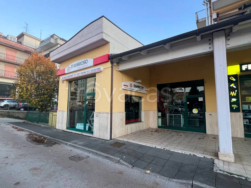 immagine annuncio 2 di 9