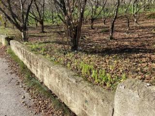 Terreno agricolo in vendita ad avellino contrada sant'oronzo