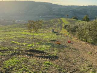 Terreno agricolo in vendita a montecalvo irpino corsano