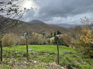 Terreno agricolo all'asta a ne localita statale, snc