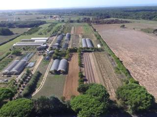 Terreno agricolo in affitto a roma via di castel romano, 52