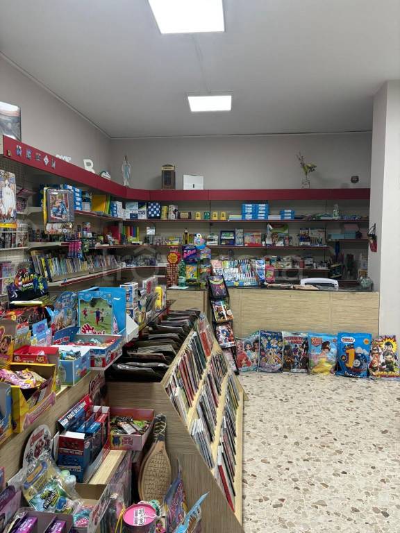immagine annuncio 2 di 12