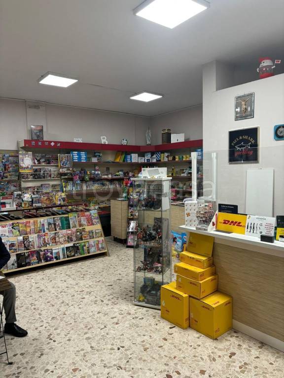 immagine annuncio 4 di 12