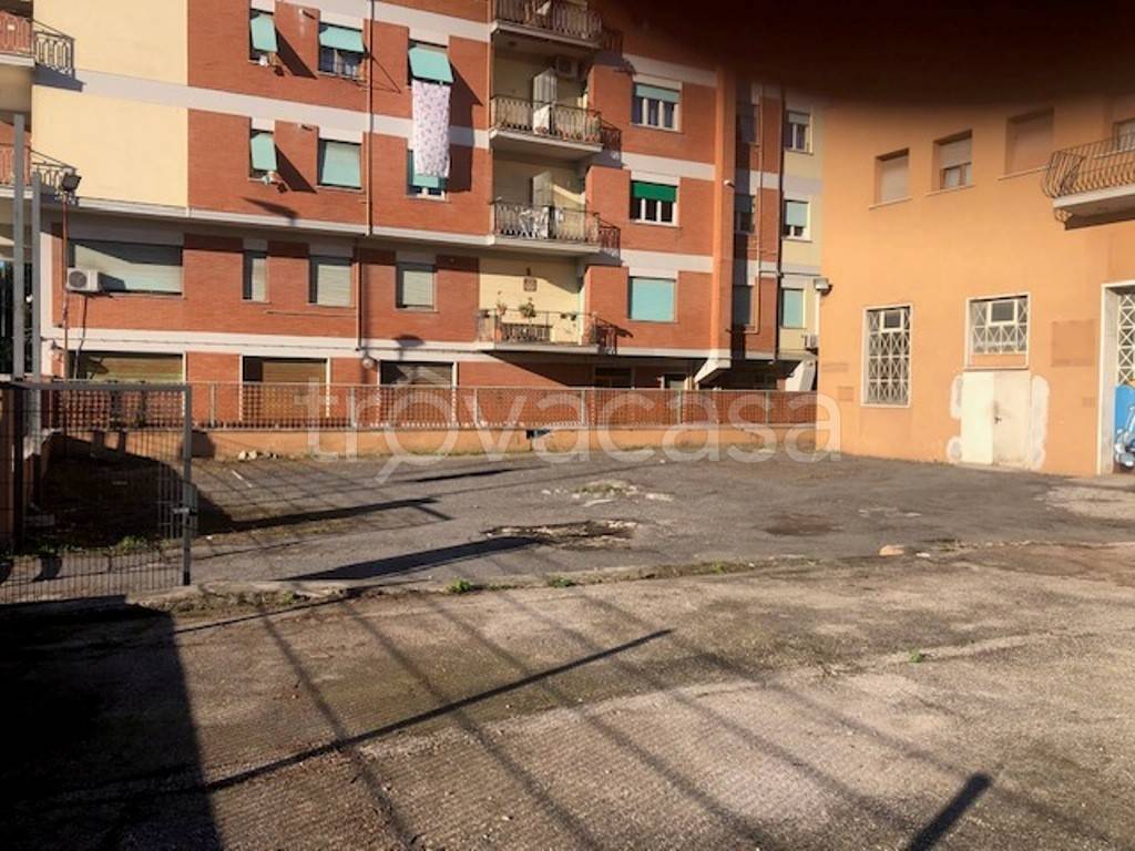 immagine annuncio 3 di 14