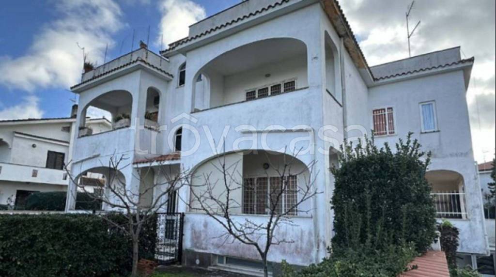 immagine annuncio 10 di 12