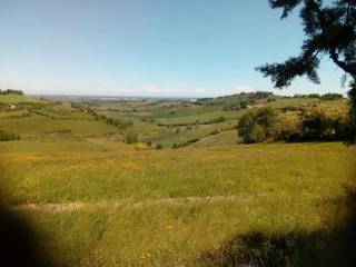 Terreno agricolo in vendita a bertinoro via rio rose s.n.c.