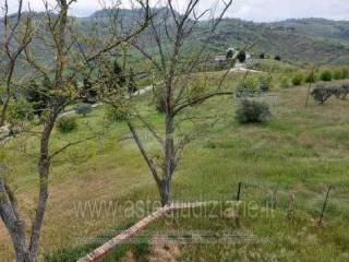 Terreno agricolo all'asta a borghi via gorolo