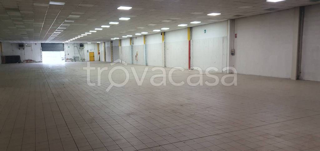 immagine annuncio 8 di 13