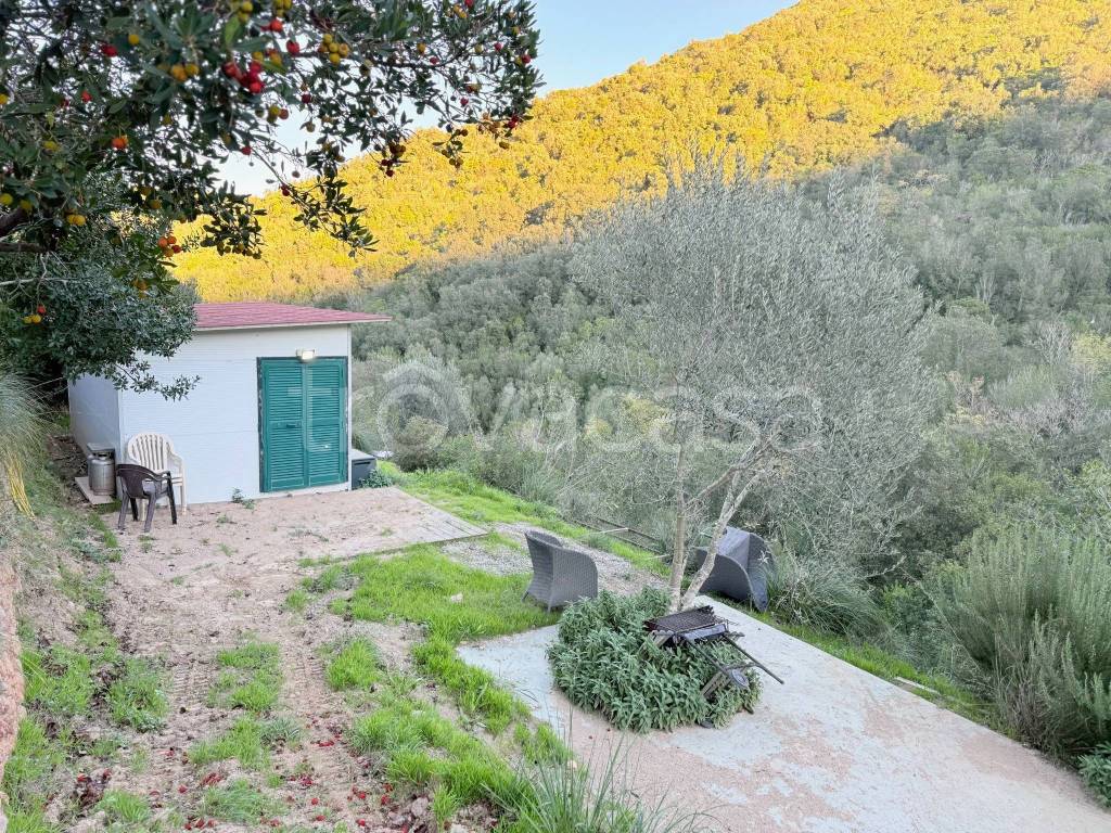 immagine annuncio 7 di 14