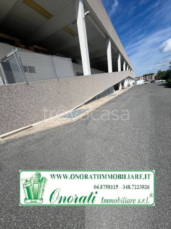 immagine annuncio 2 di 13
