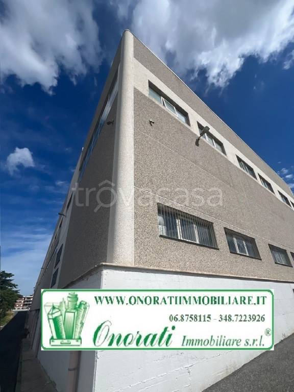 immagine annuncio 6 di 13