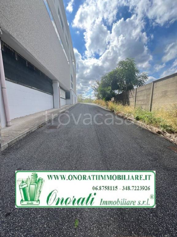 immagine annuncio 11 di 13